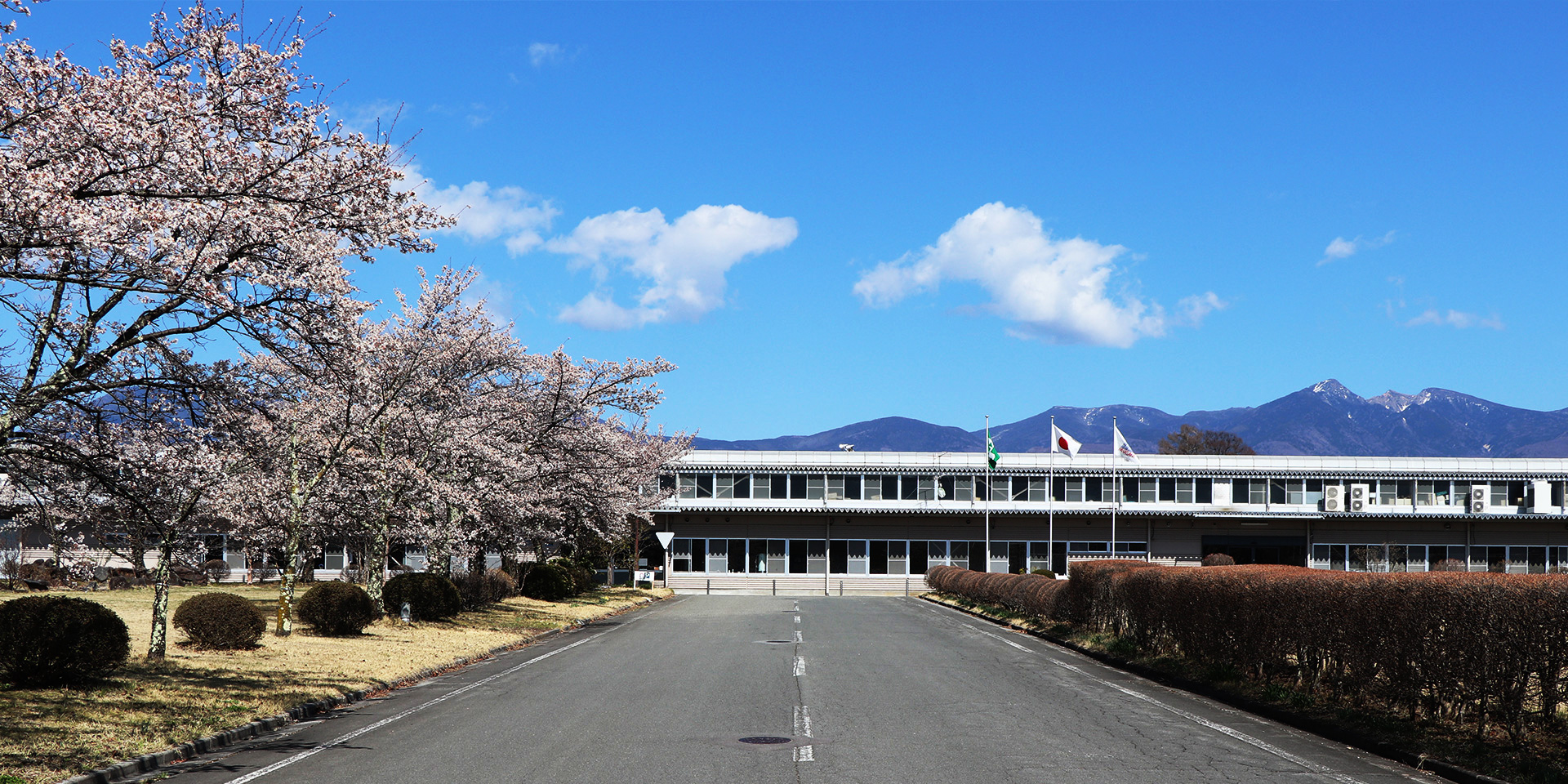 宮坂ゴム